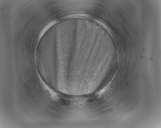 X0000076101050200610152338