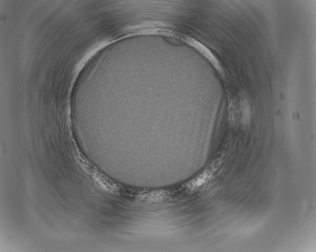 X0000076101051200610152338