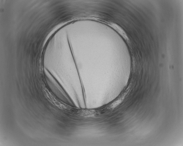 X0000076101052200610152338