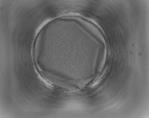 X0000076101054200610152338