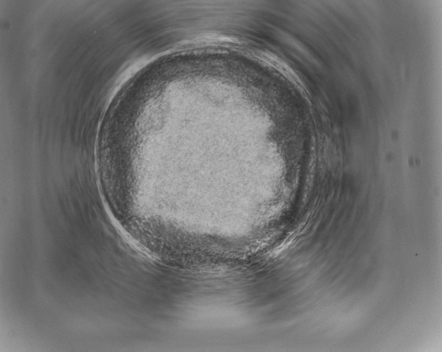 X0000076101055200610152338