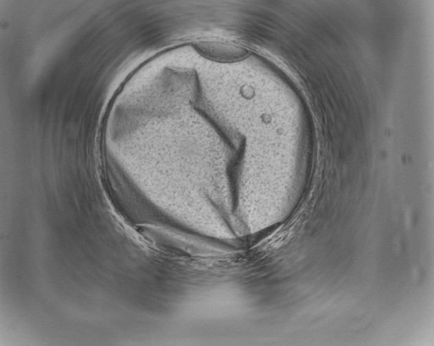 X0000076101056200610152338