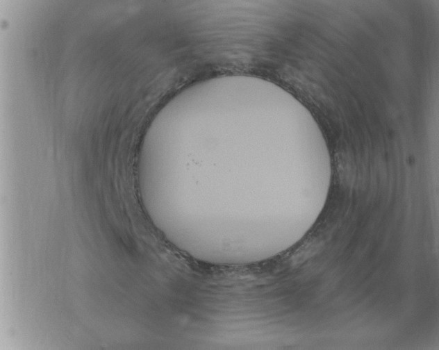 X0000076101057200610152338