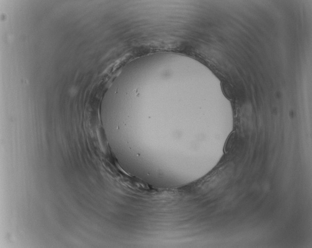 X0000076101058200610152338