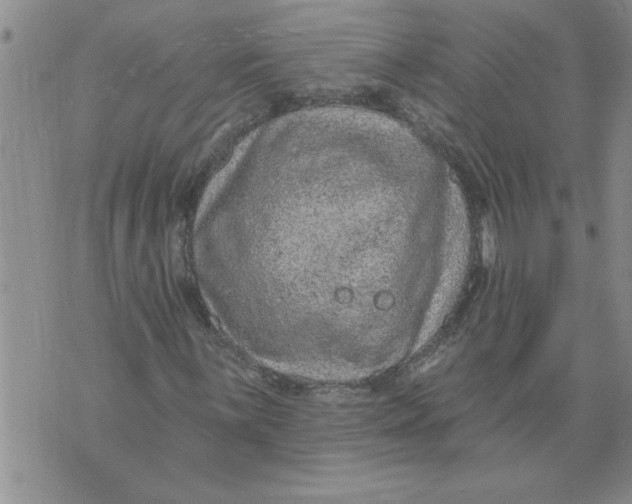 X0000076101059200610152338