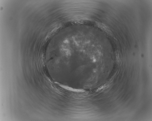 X0000076101060200610152338