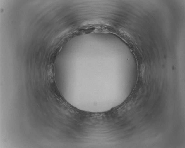 X0000076101062200610152338