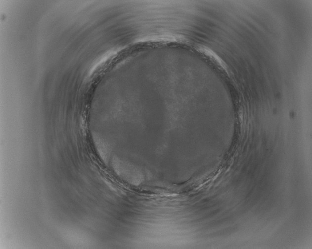 X0000076101064200610152338