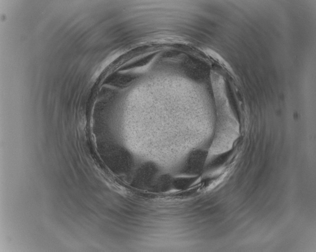 X0000076101065200610152338