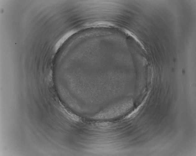 X0000076101066200610152338