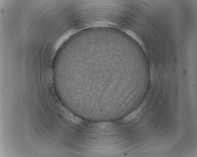 X0000076101067200610152338