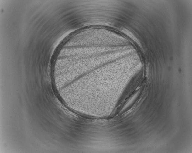 X0000076101068200610152337