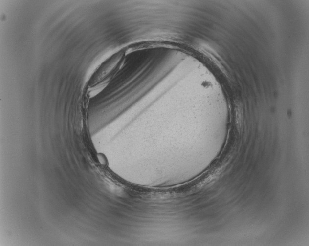 X0000076101069200610152337