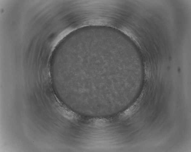 X0000076101070200610152337