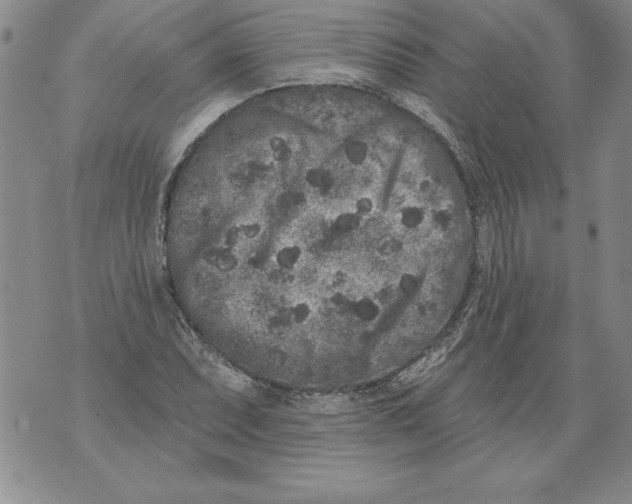 X0000076101071200610152337