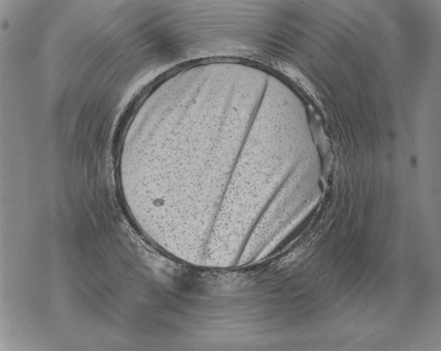 X0000076101072200610152337