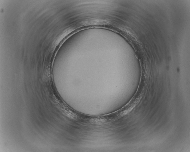 X0000076101073200610152337