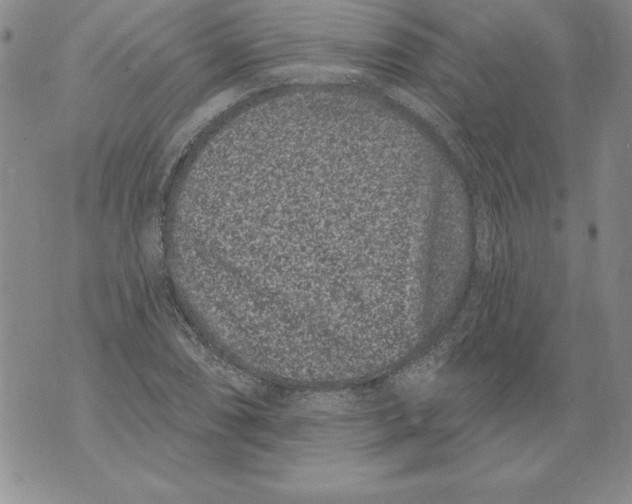 X0000076101074200610152337