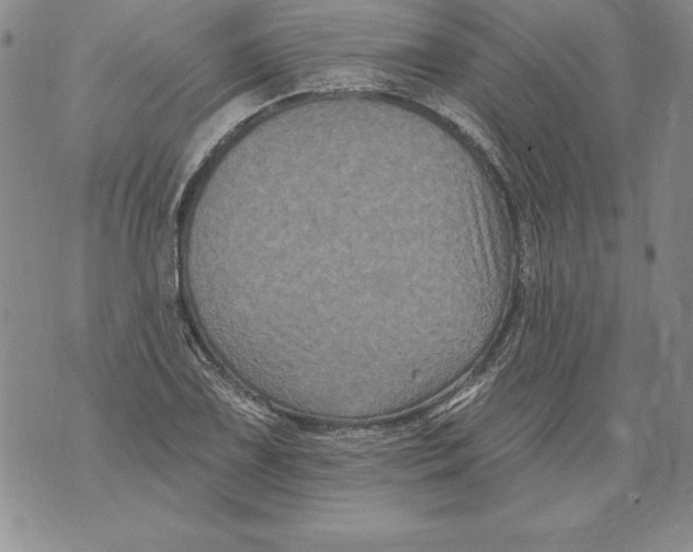 X0000076101075200610152337