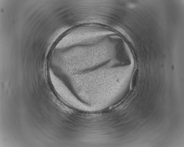 X0000076101076200610152337