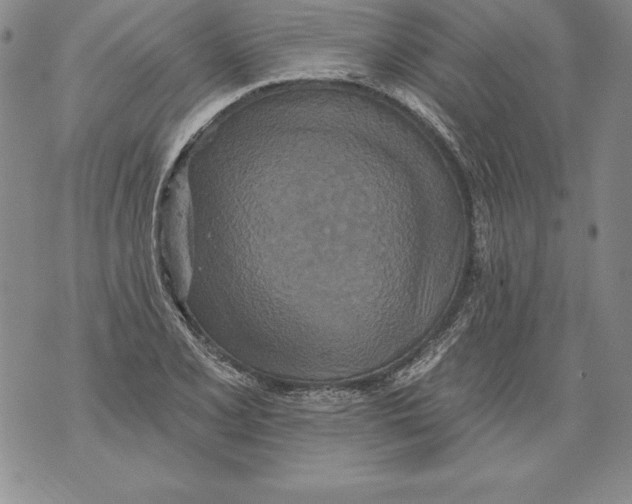 X0000076101077200610152337