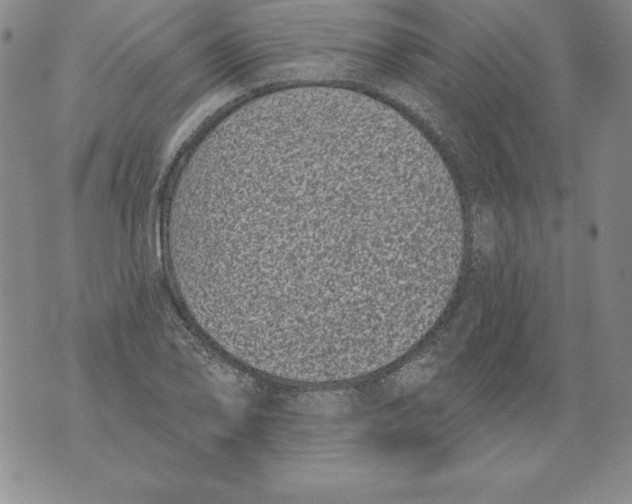 X0000076101078200610152337