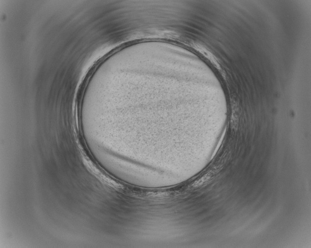 X0000076101080200610152337