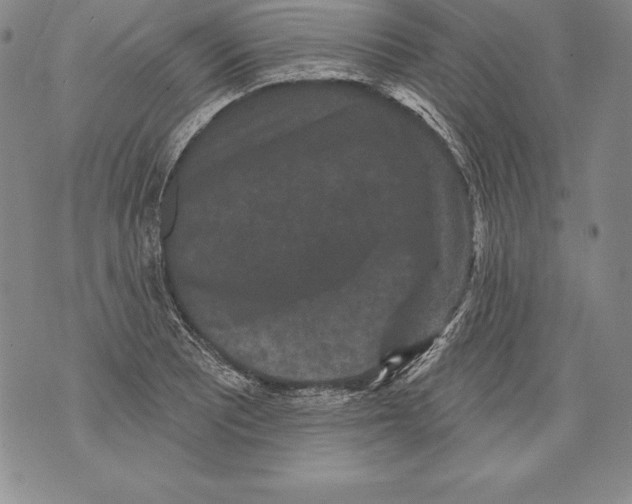 X0000076101081200610152337