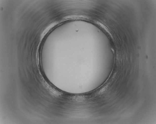 X0000076101082200610152337