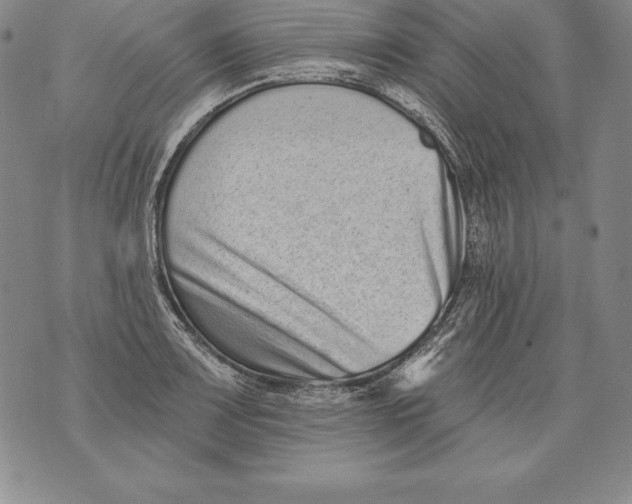 X0000076101083200610152337