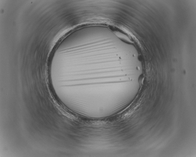 X0000076101085200610152337