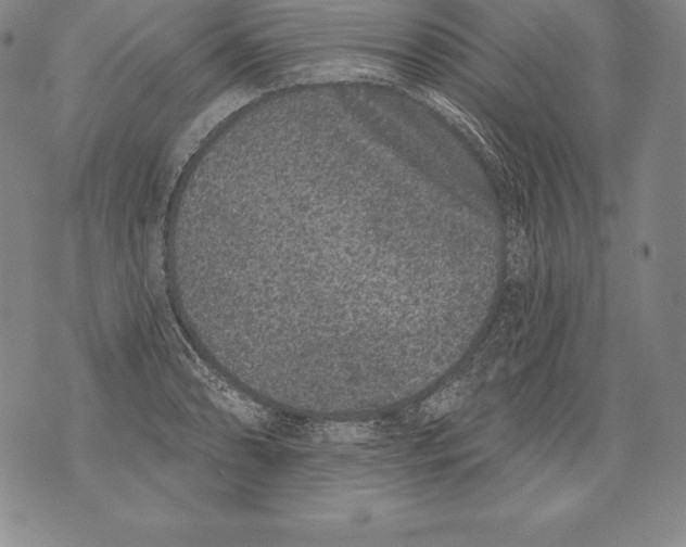 X0000076101086200610152337