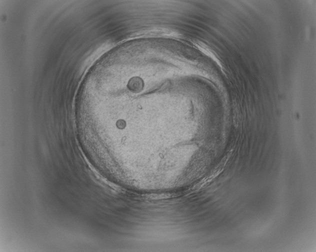 X0000076101087200610152337