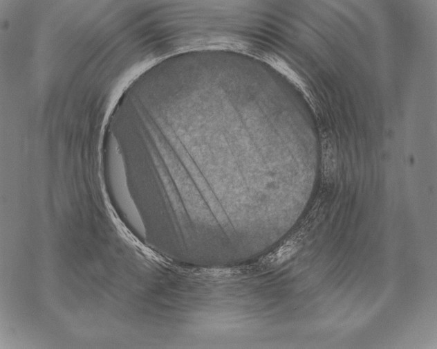 X0000076101088200610152337