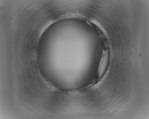 X0000076101089200610152337