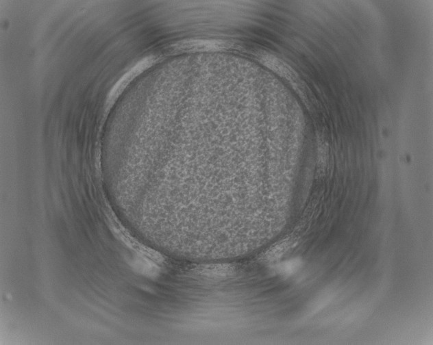 X0000076101090200610152337