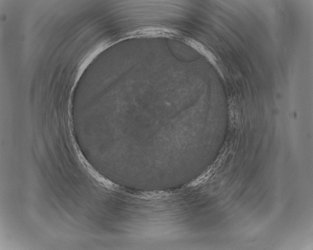 X0000076101091200610152337