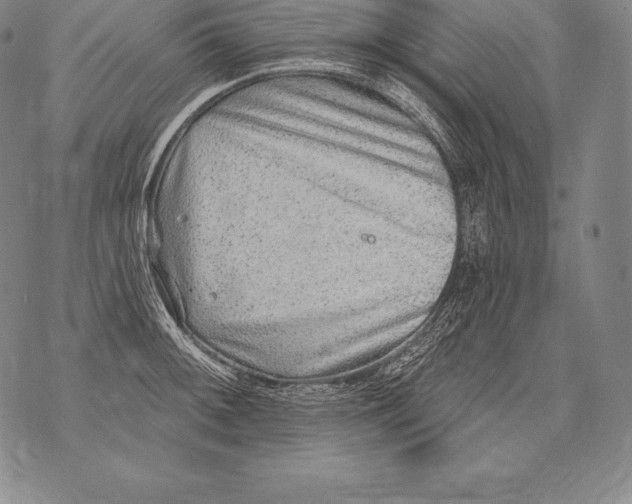 X0000076101092200610152337