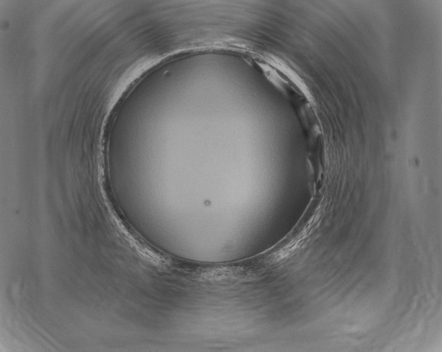 X0000076101093200610152337