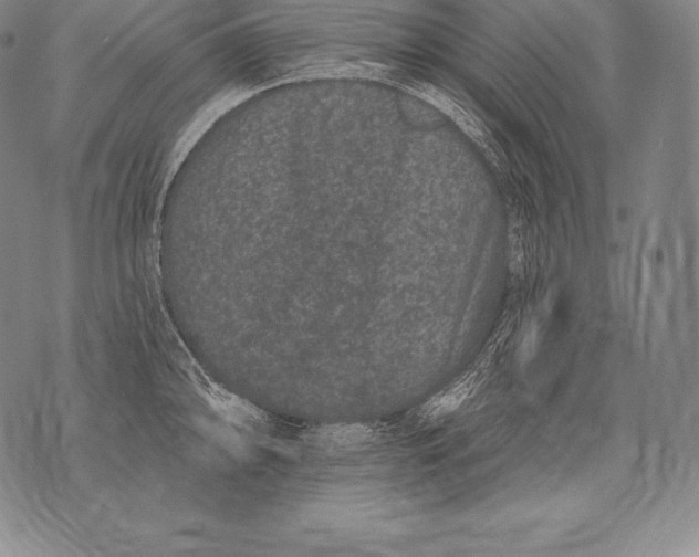 X0000076101094200610152337