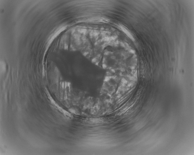 X0000076101095200610152337