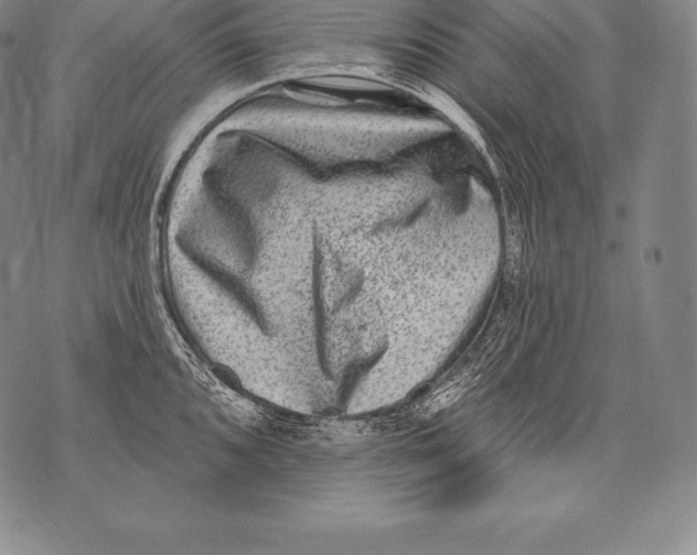 X0000076101096200610152337