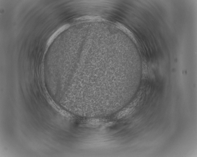 X0000076101098200610152337