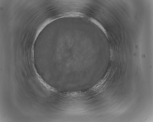 X0000076101099200610152337