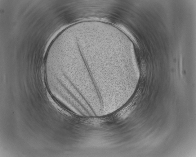 X0000076101100200610152337