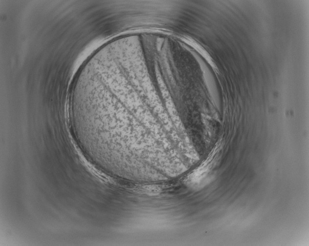 X0000076101101200610152337