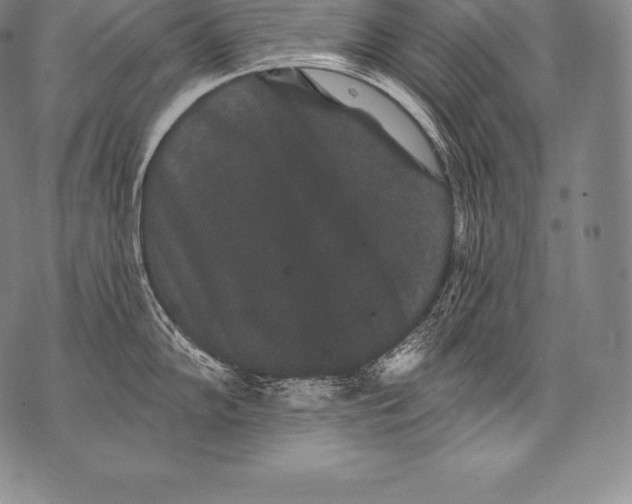 X0000076101102200610152337