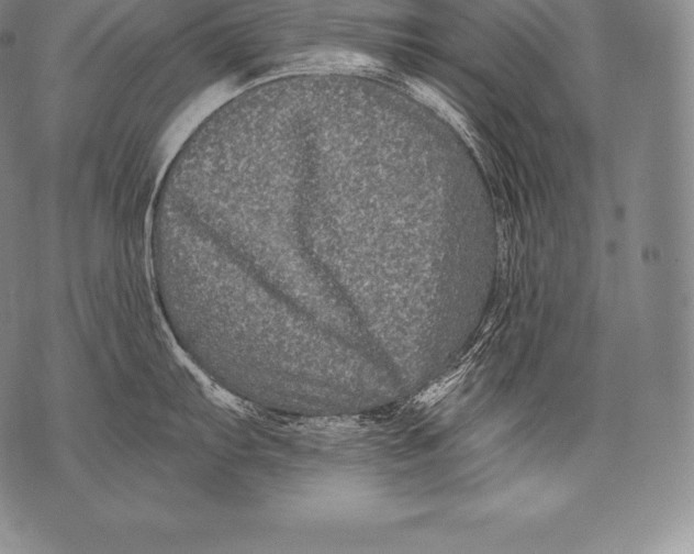 X0000076101103200610152337