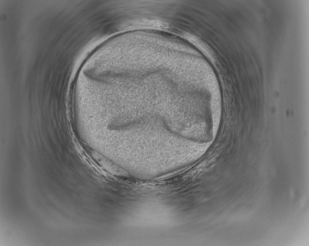 X0000076101104200610152337