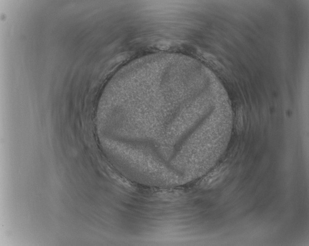 X0000076101105200610152336